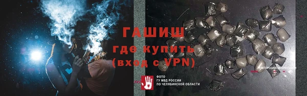 индика Балахна