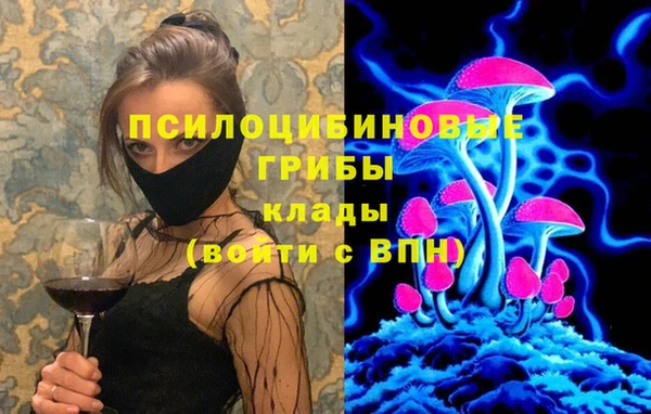 спиды Аркадак