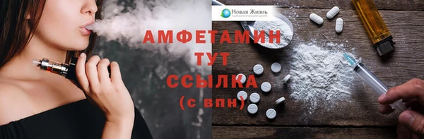 индика Балахна