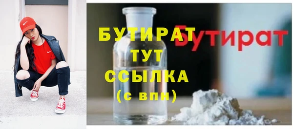 индика Балахна