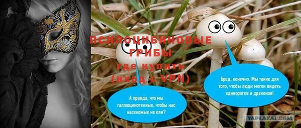 спиды Аркадак